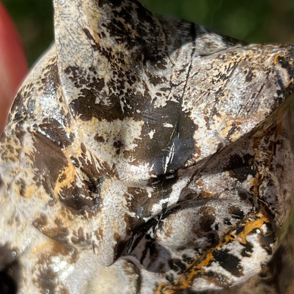 Picture jasper (1) owl craving | crystal - Picture 7 of 12